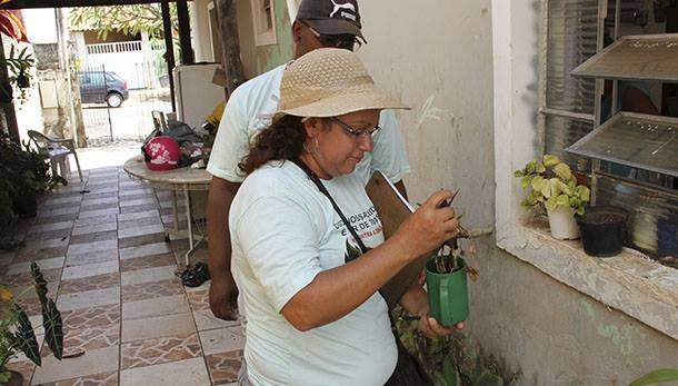 Funcionários pretende contar com o apoio dos moradores para eliminar os criadouros Funcionários pretende contar com o apoio dos moradores para eliminar os criadouros