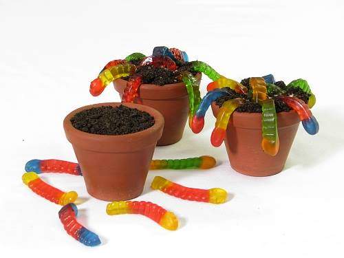 Doce de Minhocas doce de minhocas