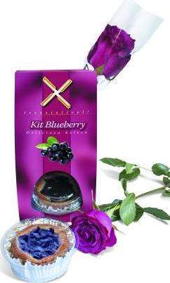 KIT Blueberry kit blueberry