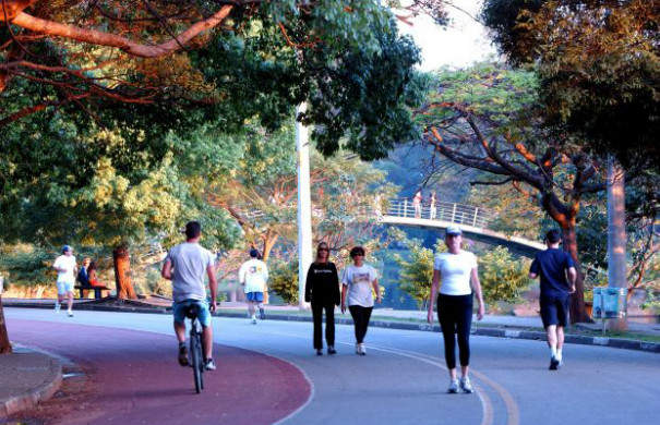 Parque-do-Ibirapuera