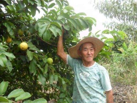 dia-da-alimentacao-hortolandia