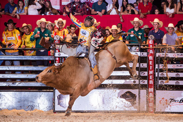 RODEIO SUMARE ARENA MUSIC