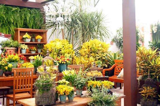 Eventos em Holambra (SP) fortalecem o setor varejista de flores, plantas  ornamentais e paisagismo