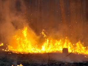 Incêndio Jardim Santa Esmeralda, Hortolândia